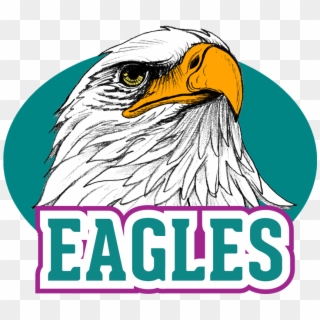 Eagles Logo - Andrew Johnson Elementary School Kingsport Clipart