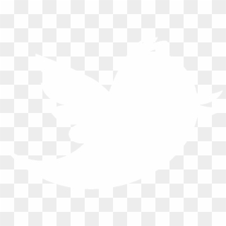 Free White Twitter Png Png Transparent Images Pikpng