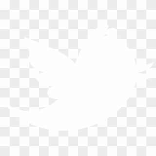 Free Twitter Bird White Png Png Transparent Images Pikpng