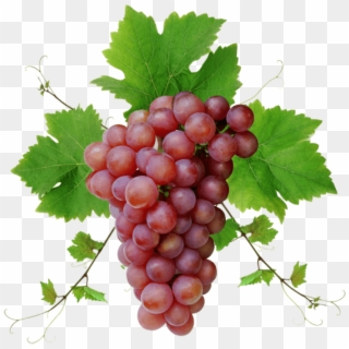 Free Png Download Grapes Png Images Background Png - Grapes Png Clipart