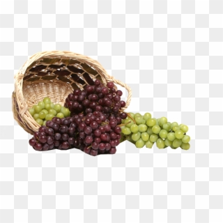 Grapes Png Royalty-free Image - Grapes Scenery Clipart