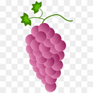 This Free Icons Png Design Of Pink Grapes Clipart