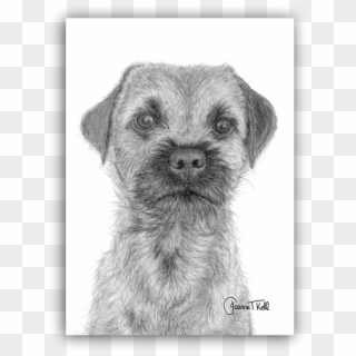 Border Terrier Greeting Card - Sketch Clipart