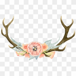 #flores #flor #cuernos #rosa - Antlers Watercolor Clipart