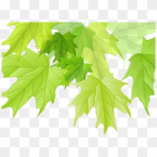 #ftestickers #tree #leaves #maple #corner #border - اوراق الشجر Png Clipart