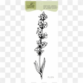 {fl074} Stamp "lavender Stem" - Butterfly Orchid Clipart