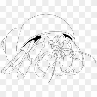 Crab, House For Hermit Crab, Coloring Book, Monochrome - Coloring Book Clipart