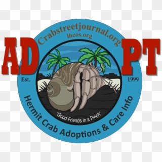 Hermit Crab Adoption Program - Graphic Design Clipart