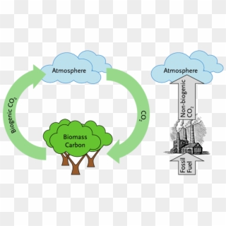 The Intergovernmental Panel On Climate Change Distinguishes - Fast Carbon Cycle Diagram Clipart