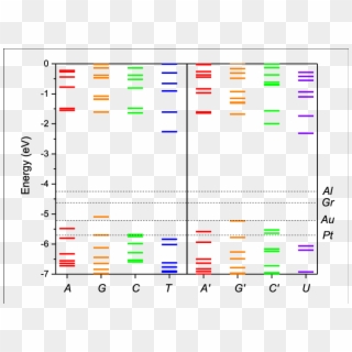 Molecular Energy Levels Of The Of Dna - Plot Clipart