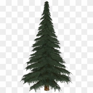 Albero Pino Png - Christmas Tree Clipart