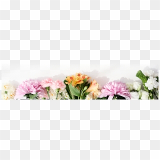 View Signature Collection - Flowers At The Bottom Clipart