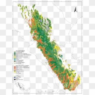 Vegetación Y Uso Del Suelo En La Sierra Madre Occidental - Atlas Clipart