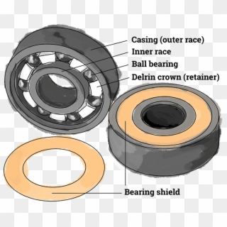 Image Displays Parts Of A Skateboard Bearing, Consisting - Opportunities For Learning Clipart