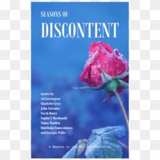 Seasons Of Discontent - Garden Roses Clipart