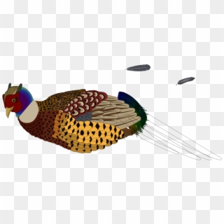 Pheasant Clipart Free For Download - Pheasants Clipart Transparent - Png Download