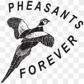 Dc13104 - Pheasants Forever Black And White Clipart