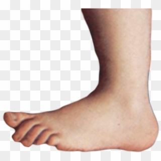 Image - Monty Python Foot Png Clipart