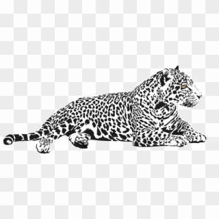 Cool Image Of Jaguar - Black And White Jaguar Animal Clipart