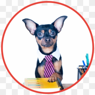 Office Products - Chihuahua Clipart