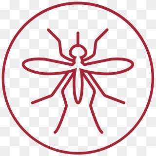Mosquito Bug - Zika Transparent Clipart