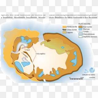 Esquema Do Atol Das Rocas, Mostrando A Localização - Illustration Clipart