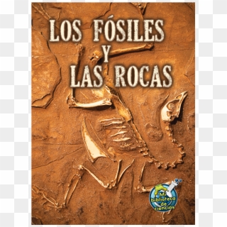 Tcr173117 Los Fosiles Y Las Rocas Image - Fossils In Sandstone Clipart