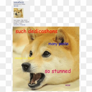 Doge Roblox Pixel T Shirt Clipart 2675309 Pikpng