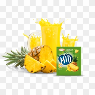 Protuto - Angiospermas Piña Clipart
