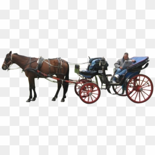 Horse Drawn Carriage Png Clipart