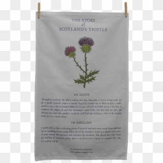 The Story Of Scotland's Thistle - Red Clover Clipart
