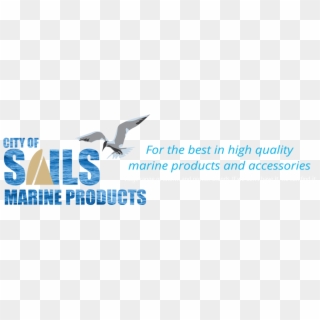 City Of Sails Marine Products Logo - Seabird Clipart