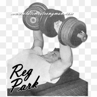 Reg Park Dumbbell Bench Pres - Reg Park Dumbbell Press Clipart