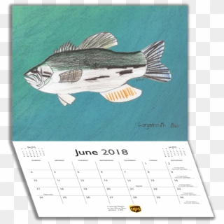Calendar Page June Fold - Bass Clipart