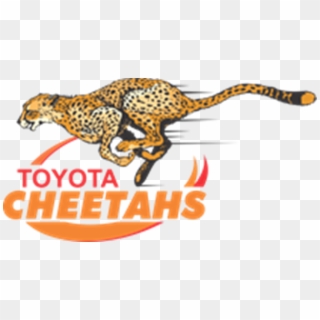 Toyota Cheetahs Vs Dragons - Cheetahs Rugby Clipart