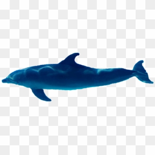 Delfin Sticker - Whale Clipart