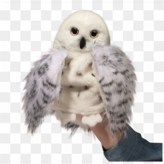 Snowy Owl Puppet - Snowy Owl Clipart