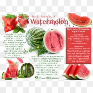 Benefits Of Watermelons Clipart