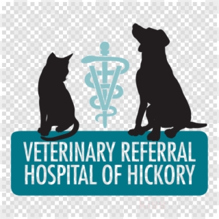 Veterinary Medicine Clipart Cat Dog Veterinary Referral - Png Download