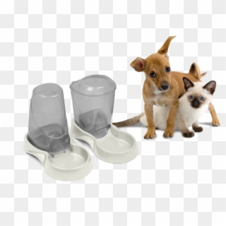 Cat Dog Autowater - Pets Dog Cat Rabbit Clipart