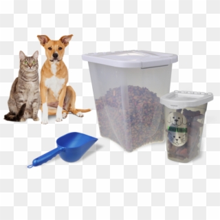 Cat Dog Foodcontainers - Perro Y Gato Mestizo Clipart