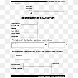 Blank Graduation Certificate Sample - Certificate Of Study Sample Clipart