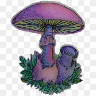 Mushroom Sticker - Cute Mushroom Aesthetic Clipart
