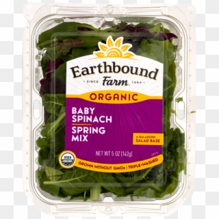 Baby Spinach Spring Mix Clipart