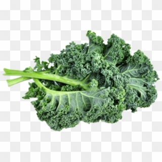 Free Png Download Kale Png Images Background Png Images - Kale Png Clipart
