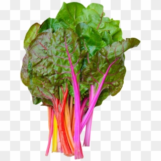 Rainbow Swiss Chard Png Image - Chard Png Clipart