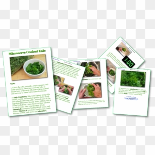 Microwave Cooked Kale Picture Book Recipe - Flyer Clipart