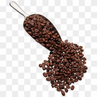 Grain Café Png - Scoop Of Coffee Beans Clipart