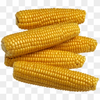 Corn For Kids Clipart