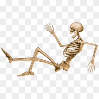 Skeleton Sitting - Human Skeleton Png Clipart